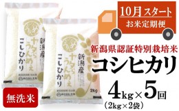 【ふるさと納税】【新米定期便・10月〜発送】コシヒカリ 無洗米 4kg（2kg×2袋）×5回（計 20kg）ヤタらうんめぇお米 先行予約 水田環境