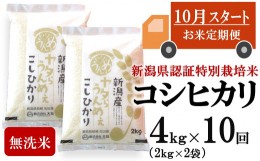 【ふるさと納税】【新米定期便・10月〜発送】コシヒカリ 無洗米 4kg（2kg×2袋）×10回（計 40kg）ヤタらうんめぇお米 先行予約 水田環境