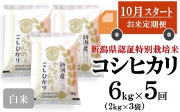 【ふるさと納税】【新米定期便・10月〜発送】コシヒカリ 白米 6kg（2kg×3袋）×5回（計 30kg）ヤタらうんめぇお米 先行予約 水田環境鑑