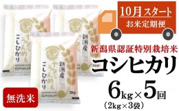 【ふるさと納税】【新米定期便・10月〜発送】コシヒカリ 無洗米 6kg（2kg×3袋）×5回（計 30kg）ヤタらうんめぇお米 先行予約 水田環境