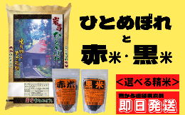 【ふるさと納税】一関市産ひとめぼれ5kg ・古代米セット