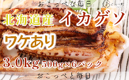【ふるさと納税】【ワケあり】北海道産　イカゲソ3.0kg