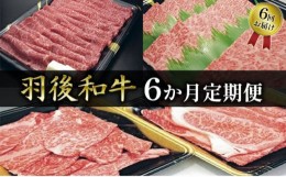 【ふるさと納税】部位・量おまかせ！羽後和牛定期便（6ヶ月）