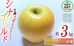 【ふるさと納税】りんご シナノゴールド スマートフレッシュ 3kg 丸茂ファーム 沖縄県への配送不可 2025年2月上旬頃から2025年5月上旬頃