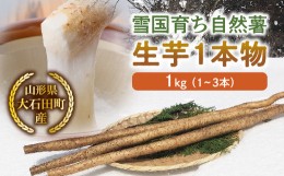 【ふるさと納税】山形県産 雪国育ち自然薯 生芋1本物 1kg（1〜3本） F2Y-5112