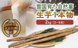 【ふるさと納税】山形県産 雪国育ち自然薯 生芋1本物 2kg（3〜5本） F2Y-5114