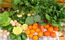 【ふるさと納税】【定期便3か月】中村自然農園の季節の有機野菜詰め合わせ 5kg以上