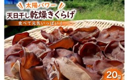 【ふるさと納税】【太陽パワー】天日干し乾燥きくらげ 20g [山梨げんき農園 山梨県 韮崎市 20742269] 