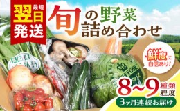 【ふるさと納税】【3回定期便】諫早産野菜の詰め合わせ(8〜9品目程度) / 野菜 やさい 旬野菜 旬 新鮮 詰合せ たまねぎ なす トマト れん