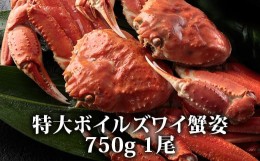 【ふるさと納税】蟹味噌！垂涎の的！特大ボイルズワイ蟹姿 750g 1尾 [1616]