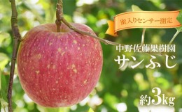 【ふるさと納税】No.1471蜜入りりんご「サンふじ」約3kg【2024年度発送】