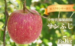 【ふるさと納税】No.1472蜜入りりんご「サンふじ」約5kg【2024年度発送】