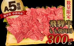 【ふるさと納税】【数量限定！チルド（冷蔵）発送！】「飛騨牛」A5等級もも 300g 鉄板焼き 網焼き 焼肉 バーベキュー BBQ