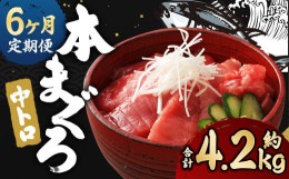 【ふるさと納税】【6ヶ月定期便】長崎県産 本マグロ「中トロ」約700g 【大村湾漁業協同組合】 生食用