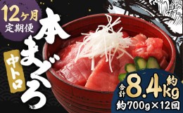 【ふるさと納税】【12ヶ月定期便】長崎県産 本マグロ「中トロ」約700g 【大村湾漁業協同組合】 生食用