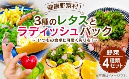 【ふるさと納税】健康野菜村！ 3種のレタスとラディッシュパック 野菜 菊陽町