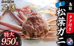 【ふるさと納税】【先行予約限定価格】【魚倉】タグ付き生松葉ガニ（特大９５０ｇ） 松葉ガニ カニ ズワイガニ カニ爪 タグ付き 冷蔵 蟹 