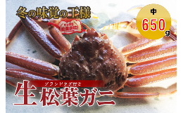 【ふるさと納税】【魚倉】タグ付き生松葉ガニ（中６５０ｇ） 松葉ガニ カニ ズワイガニ カニ爪 タグ付き 冷蔵 かにしゃぶ カニ刺身