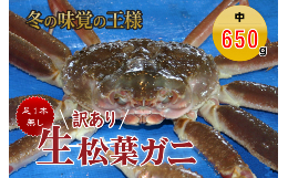 【ふるさと納税】【魚倉】足１本なし生松葉ガニ（中６５０ｇ） 訳あり 生 松葉ガニ カニ ズワイガニ カニ爪 冷蔵 かにしゃぶ カニ刺身 刺