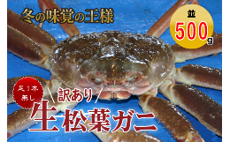 【ふるさと納税】【魚倉】足１本なし生松葉ガニ（並５００ｇ） 訳あり 松葉ガニ カニ ズワイガニ カニ爪 冷蔵 かにしゃぶ カニ刺身