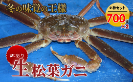 【ふるさと納税】【魚倉】訳あり生松葉ガニ２枚セット 700g以上 松葉ガニ カニ ズワイガニ カニ爪 訳あり わけあり 冷蔵  かにしゃぶ カ