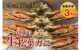 【ふるさと納税】【魚倉】松葉がに　生　おまかせセット　３ｋｇ 訳あり 松葉ガニ カニ ズワイガニ カニ爪 冷蔵 かにしゃぶ カニ刺身 ず