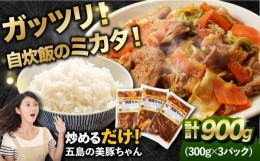 【ふるさと納税】簡単 調理 豚肉 五島美豚 美豚ちゃん300g×3個セット【長崎フードサービス】 [PEL001]