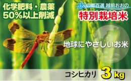 【ふるさと納税】【令和5年産】こしひかり（福井県大野市産）福井県特別栽培米 3kg【白米】