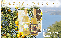 【ふるさと納税】【価格改定予定】寿太郎みかんワインセット（ワイン・スパークリング各500ml×1本）お中元 贈答用 ギフト用