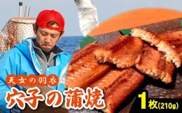 【ふるさと納税】あなご 蒲焼 1枚 210g 天女の羽衣【210g 穴子蒲焼き 魚介類 魚 穴子 アナゴ 蒲焼き 仕込み?油 タレ付き 山椒付き 新鮮 