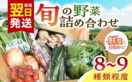 【ふるさと納税】諫早産野菜の詰め合わせ(8〜9品目程度) / 季節 旬 野菜 やさい 春野菜 夏野菜 秋野菜 詰め合わせ / 諫早市 / 肥前グロー