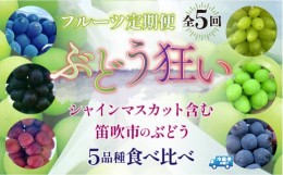 【ふるさと納税】＜2024年先行予約＞ ぶどう狂い 定期便 シャインマスカット含む5種食べ比べ 105-005 | 葡萄 先行予約 ぶどう定期便 葡萄