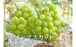 【ふるさと納税】5-50 【2024年発送 大容量】山梨県産 シャインマスカット2.5？以上(4〜6房)ふるさと納税