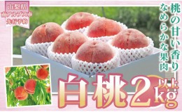 【ふるさと納税】5-53 【2024年発送】山梨県産 採れたて完熟桃 白桃系2kg以上（5〜8玉）ふるさと納税