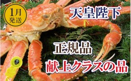 【ふるさと納税】誉れ高き越前がに「皇室献上級」 × 1杯 桐箱入り！【雄 ズワイガニ ずわいがに 姿 生 ボイル 冷蔵 福井県】【1月発送分