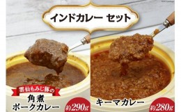 【ふるさと納税】インドカレー セット・雲仙もみじ豚 の 角煮ポーク ＆ キーマ 2点セット/ プラサード / 長崎県 南島原市