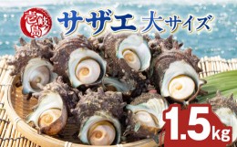 【ふるさと納税】壱岐島 サザエ（大） 合計約1.5kg 《壱岐市》【マルショウ水産】[JBB004] 15000 15000円 お刺身 産地直送 冷蔵配送 サザ