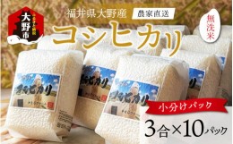 【ふるさと納税】【令和5年産】福井県大野市産 コシヒカリ 無洗米 3合×10パック（4.5kg）小分け アウトドアにもおすすめ 農家直送 