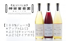 【ふるさと納税】【神田葡萄園】100%ジュースリアスシリーズ(720ml)×3本セット