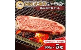 【ふるさと納税】おおいた和牛サーロイン極み肉だれセット(A5ランク5枚)【1272598】