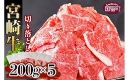 【ふるさと納税】＜宮崎牛 切り落とし 合計1kg（200g×5）＞翌月末迄に順次出荷