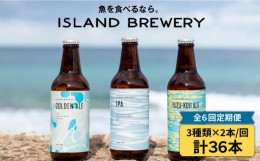 【ふるさと納税】【全6回 定期便 】クラフトビール 地ビール  6本  詰め合わせ（3種類×2本）【ISLAND BREWERY】 《 壱岐市 》[JED019] 9