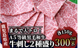 【ふるさと納税】「まるで大トロ！とろけるくちどけ」A5等級鹿児島県産黒毛和牛牛刺し2種盛り300g(カミチク/022-1003)ふるさと納税 指宿