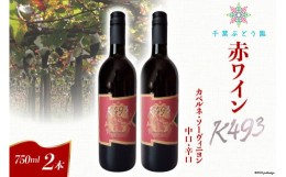 【ふるさと納税】赤ワイン K493 カベルネ・ソーヴィニヨン 中口・辛口 750ml×2本 [千葉ぶどう園 山梨県 韮崎市 20742115] 