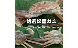 【ふるさと納税】【魚倉】生若松葉ガニ　４枚（足１〜２本なし含む） 松葉ガニ カニ ズワイガニ 冷蔵