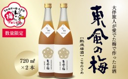 【ふるさと納税】【数量限定／太宰府梅プロジェクト】 「令和」発祥の都 太宰府の梅使用 熟成プレミアム 梅酒 東風の梅 720ml 2本組 焼酎