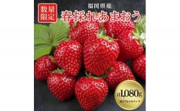 【ふるさと納税】＜数量限定＞福岡県産あまおう270g×4パック＜R7年2月発送開始＞【1277506】