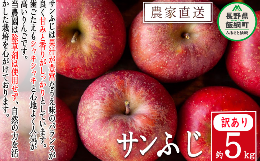 【ふるさと納税】りんご サンふじ 訳あり 5kg 松澤農園 沖縄県への配送不可 2024年11月下旬頃から2025年2月上旬頃まで順次発送予定 令和6