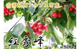 【ふるさと納税】5-8 【令和6年6月上旬から6月下旬発送予定】さくらんぼ「紅秀峰」約800g