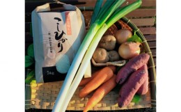 【ふるさと納税】ごかを食べよう！セット6（米、農産物） ／ お米 野菜 詰め合わせ 茨城県